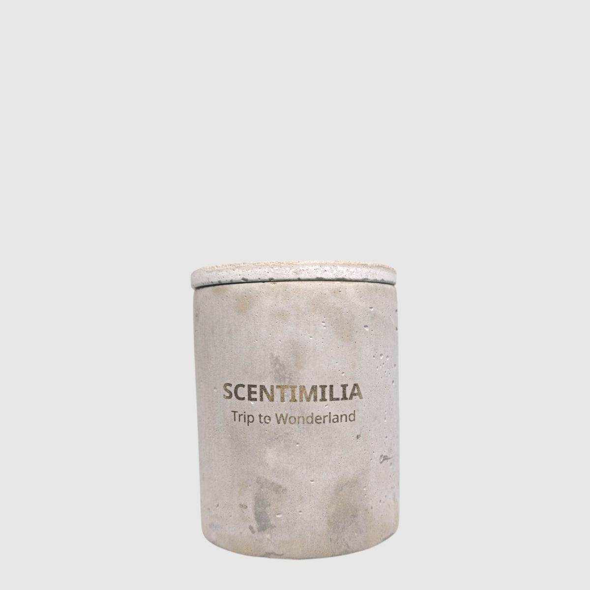 goods_02_436158 (23) Trip to Wonderland - Image 1